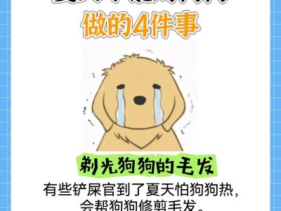 夏日降温秘籍——让你的狗狗拥有舒适的夏天（为你的爱犬打造清凉避暑空间，）