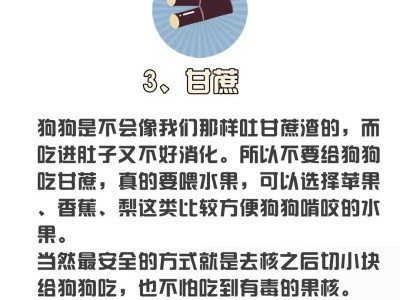 狗吃韭菜会引发过敏症状吗？（了解狗狗是否适合食用韭菜及可能带来的后果）