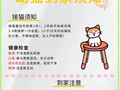 如何正确喂养幼猫