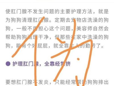 为什么狗的大便臭？（揭开狗大便臭的原因及解决方法）