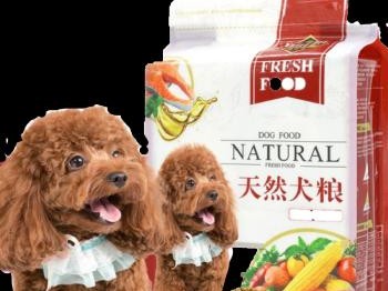 9个月泰迪应该吃幼犬狗粮还是成犬？（正确的狗粮选择对宠物健康至关重要）