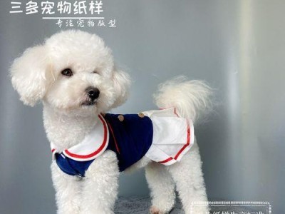 掌握博美狗怀孕征兆，宝宝健康成长（博美狗怀孕征兆详解，助您轻松应对）