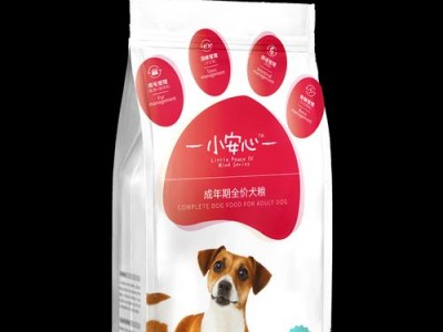 比熊成犬的理想狗粮选择（选用适合比熊成犬的专业狗粮品牌）