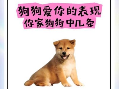 狗狗撒娇之最爱长在主人身上（探索5大狗狗撒娇技巧，寻找宠物最佳伴侣）