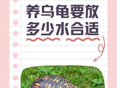 小乌龟的肉食（探究小乌龟的饮食习性与食肉偏好）