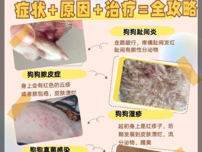 狗皮肤红点点是什么？（揭开狗皮肤红点点的真相）