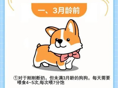 养小狗狗的注意事项（如何做好宠物狗狗的饲养工作）