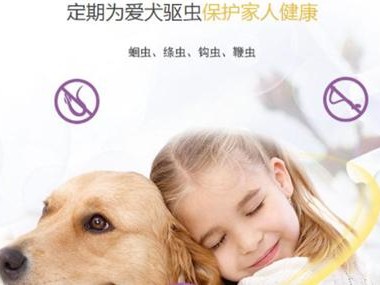 如何避免宠物体外驱虫过量中毒？