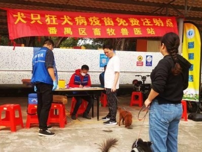猫咪的针与疫苗（了解猫咪需要打哪些疫苗，预防疾病是关键）