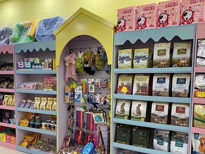 探访信阳的宠物店乐园（发现信阳宠物店的多样魅力）