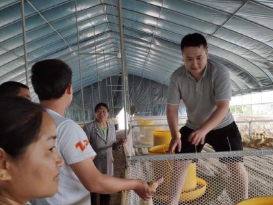 以黄眼瞪鱼为宠物（打造健康、快乐的瞪鱼宝宝生活/黄眼瞪鱼饲养必备知识详解）