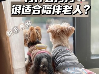 狗狗一生的成长与变化（探索狗狗成长的不同阶段，用心陪伴成长）