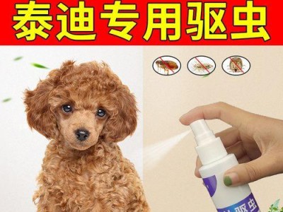 泰迪宠物为什么要做体外驱虫？（了解宠物体外驱虫的重要性及其好处）