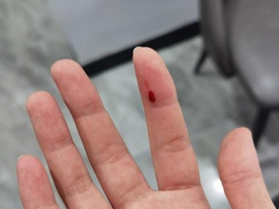 养育两个月大泰迪的注意事项（为你的小狗提供健康成长的必要指南）