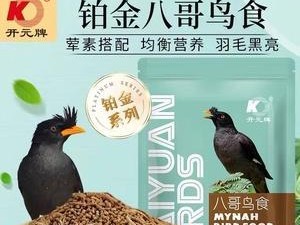 如何选择合适的保温用品给八哥雏鸟？（关注八哥雏鸟的保温需求，选择最佳的保温用品。）