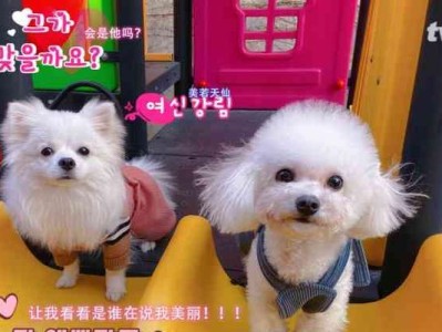 以京狗（驱动京城智慧出行的关键力量）