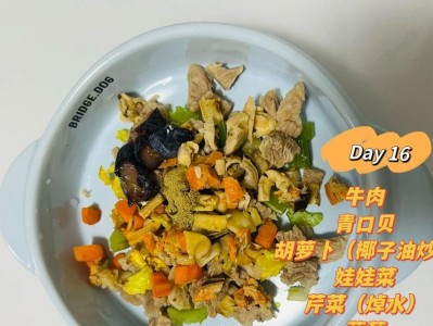 泰迪宠物狗的营养饮食指南（为你的泰迪选择最健康的饮食方式）
