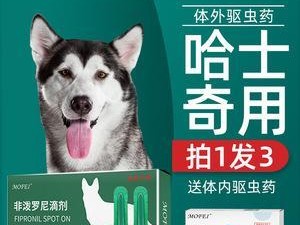 狗狗抽蓄的治疗药物选择（选择合适的药物是关键）