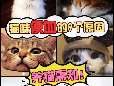 哺乳期母猫拉稀的原因及处理方法（探究哺乳期母猫为什么会出现拉稀现象，提供相应的解决方法）