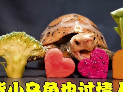 小巴西龟的最佳食物选择（打造健康营养的小巴西龟饮食计划）