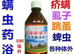 狗咳血的药物治疗方式（用药物治疗狗咳血的最佳选择和方法）