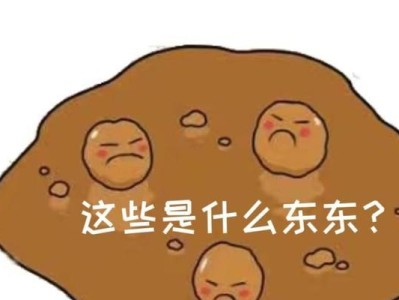 大便拉东东没有血的原因解析（揭秘为何大便时没有出现血迹的原因）