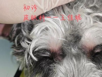 雪纳瑞犬易患疾病的原因及预防措施（探究雪纳瑞犬最容易得什么病以及如何预防）