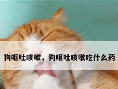 狗狗吃了吐，如何选择适合的药物治疗？（了解狗狗呕吐的原因及相应的治疗方法）