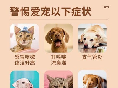 狗感冒的最有效药物治疗方法（针对狗感冒症状，这些药物最有效）
