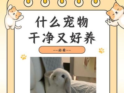 养宠物的好处（为什么你应该考虑养宠物）