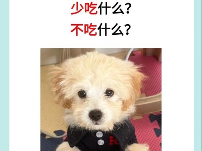 狗吃多了，如何处理？（遇到狗吃多的情况，如何正确应对及急救）