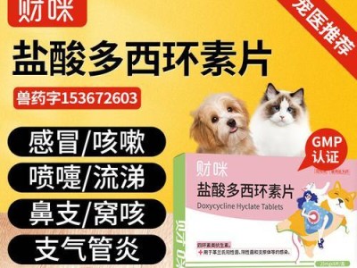 如何治疗狗感冒和拉肚问题（针对狗狗感冒和拉肚问题，选择合适的药物进行治疗）