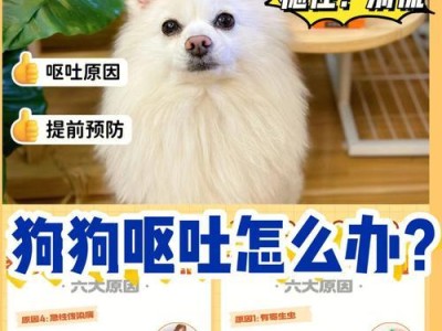 为什么不能喂狗狗太饱？（狗狗的饮食需求及喂养注意事项）