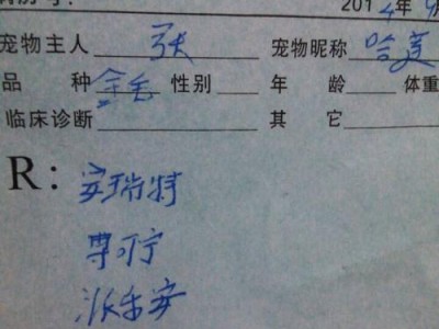 狗狗发烧了怎么办？合理选择药物是关键！（综述狗狗发烧时的治疗方法和药物选择）