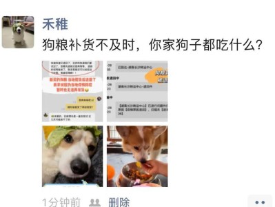 狗咬伤后的饮食建议（狗咬伤后的饮食要注意什么？如何选择适合的食物？）