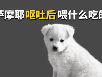 呕吐持续不断，该如何调整饮食？（以清淡易消化的食物为主，缓解呕吐症状）