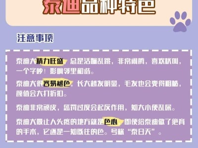 泰迪犬的饮食养护之道（探寻泰迪犬健康饮食的“8大饮食”秘诀）