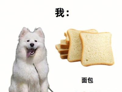 狗狗为什么会对我如此粘人？（探索狗狗与主人之间深厚的情感纽带）