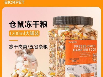 仓鼠的日常饮食（了解仓鼠的饮食习惯与喜好，享受和它们一起探索美食的乐趣）