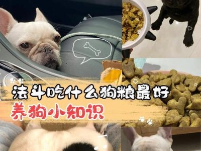 保护狗狗嗓子，从饮食开始（探究狗狗嗓子保护饮食的重要性）