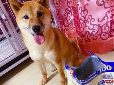 狗狗上火怎么办？（为你的爱犬选择适当的药物）