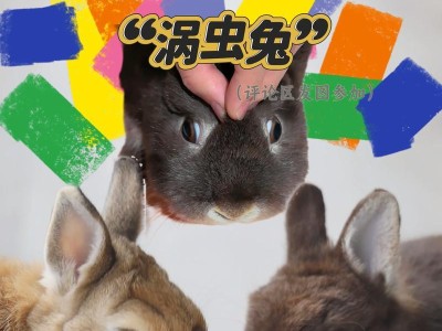 养宠物兔子的注意事项（打造健康快乐的兔子生活）