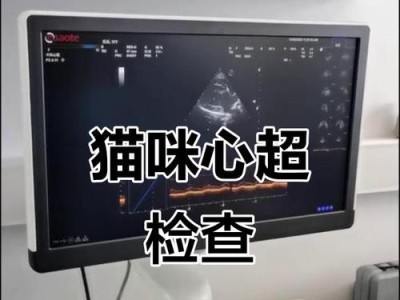 幼猫体检（确保幼猫健康成长，这些检查不能少！）