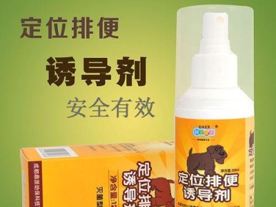 告别狗狗拉屎的难闻气味（以狗狗拉屎什么去味？七大方法揭秘）