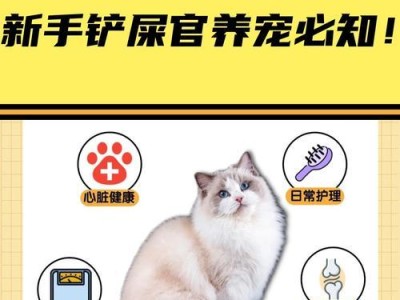 新手铲屎官的幼猫养成攻略（不要害怕，学会照顾幼猫只需掌握这些关键要点）