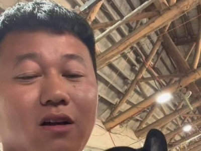 法国斗牛犬黑白花的完美配色（探索最适合法国斗牛犬黑白花的配色方案）