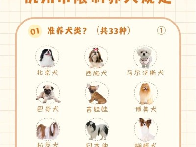 银狐犬（了解银狐犬的性格和特点，为何很少有人养？）