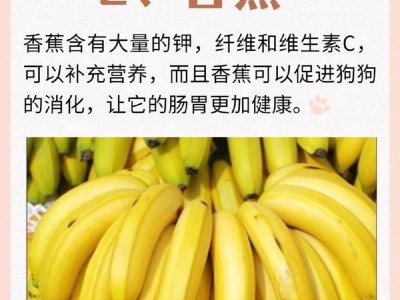 小狗不能吃的水果（了解哪些水果对小狗有害）