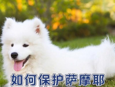 营养丰富的水果，宝宝六个月该吃什么？（以萨摩为主题的六个月宝宝水果饮食建议）