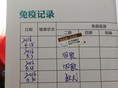 狗狗打第二针的好处（为宠物狗提供充分的保护和健康）